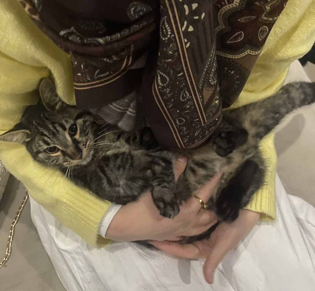 -Nefes almaya gidelim mi?
+Olur, nereye?
-🤷🏻‍♀️