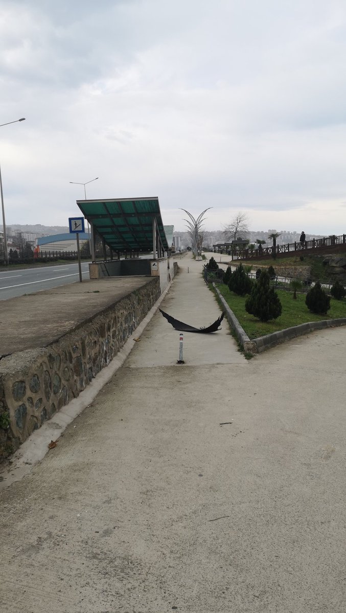 hush hush patch is that you???