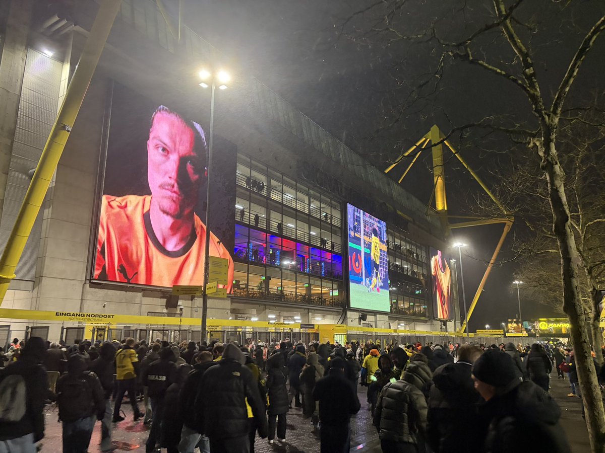 David Wölm tweet media