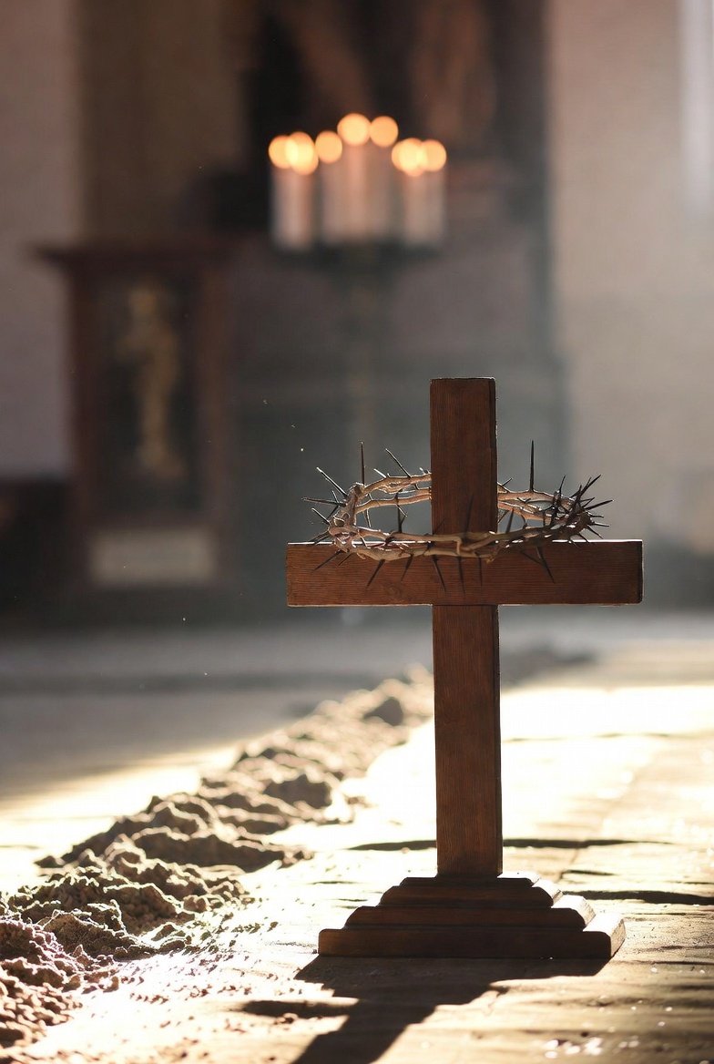 Comité Trump France tweet media