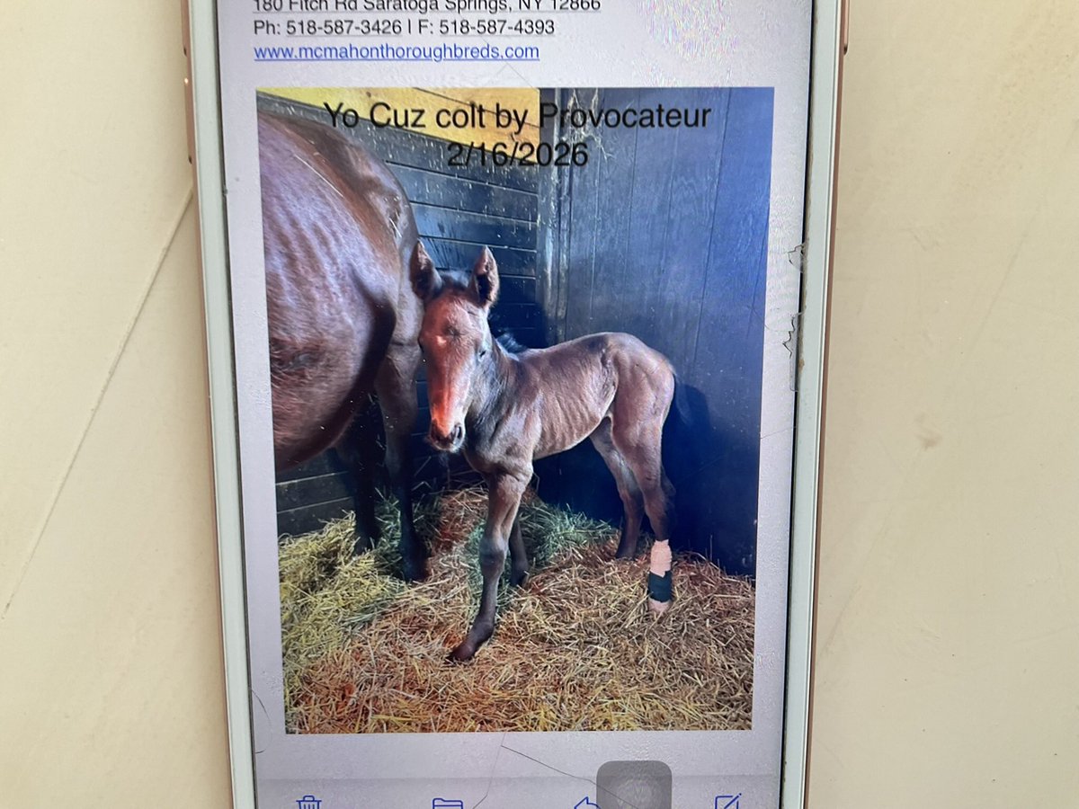 Maggie Seidman tweet media