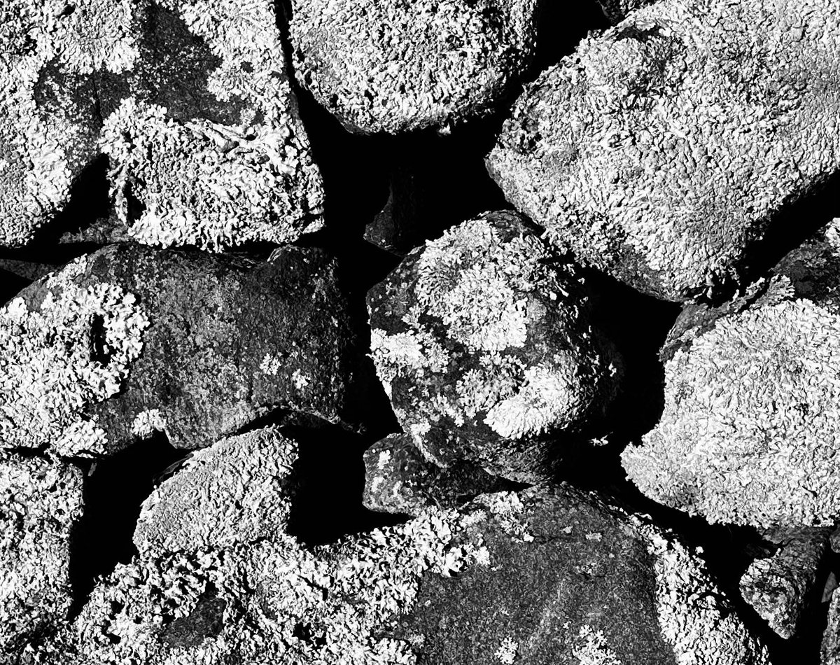 aperrincycling's tweet photo. mountainous terrain 
spanning democracy
and human nature

 #vss365 #mountainous https://t.co/mkh0rXO6se