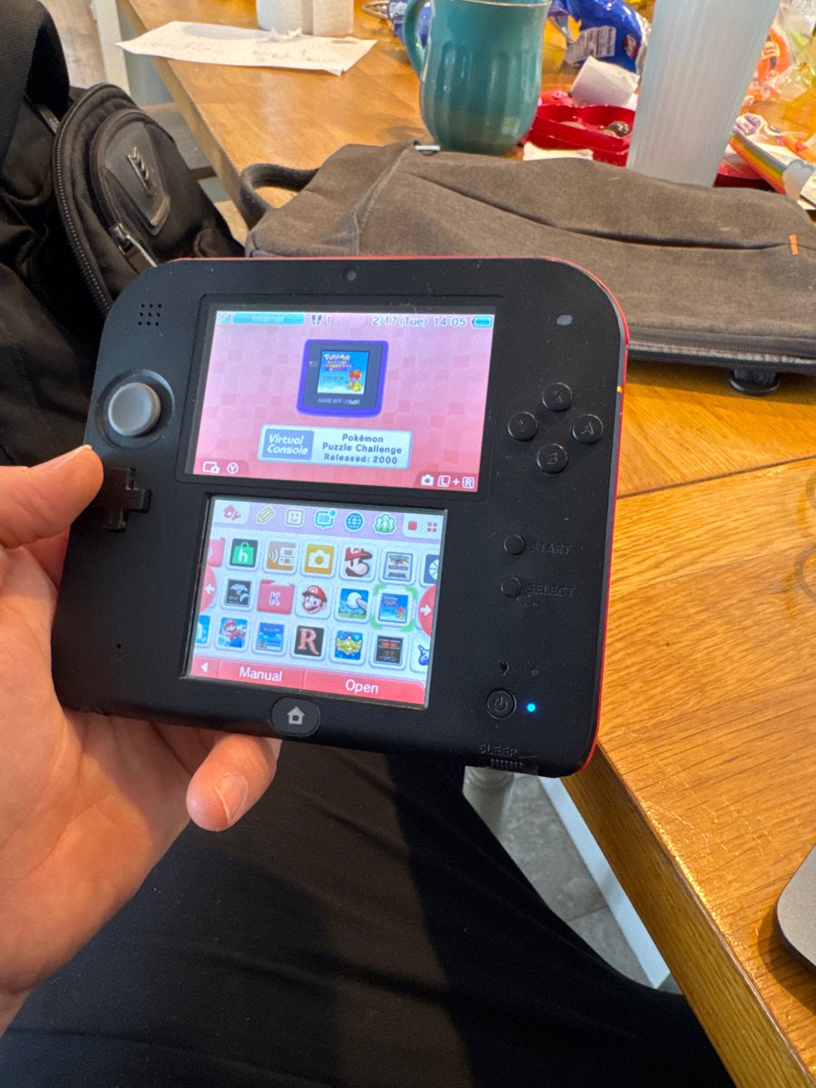 printmeister's tweet photo. Had a nice time out at the lake! Saw some frozen water and tinkered with my modded 2DS. Looking forward to returning home for more awesome projects! https://t.co/rNzNQs9YRQ