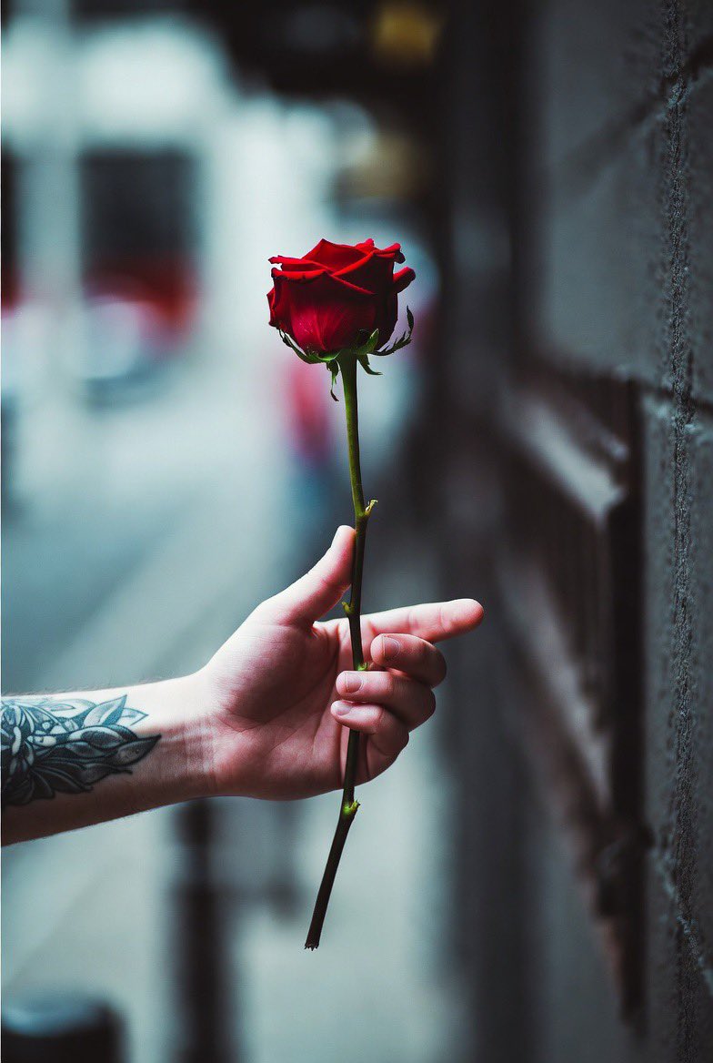 Alberto Fabra tweet media