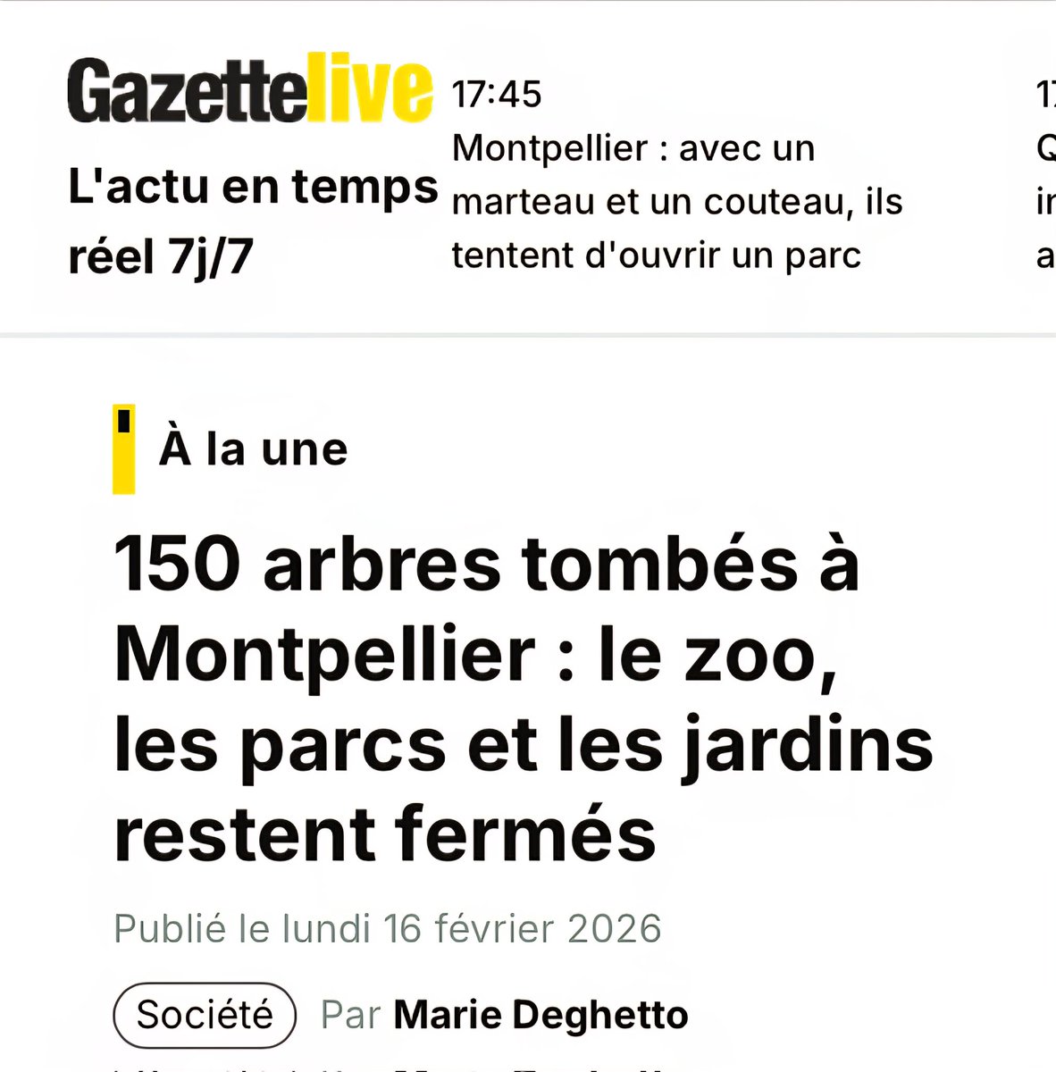 Phil_Saurel's tweet image. 150 arbres c’est beaucoup !
Un gros défaut d’entretien ? Apparemment tous les moyens de la ville sont mis sur la gratuité des transports mais pas sur l’entretien courant ...
L'#écologie punitive !
#Montpellier 
@GazettedeMtp