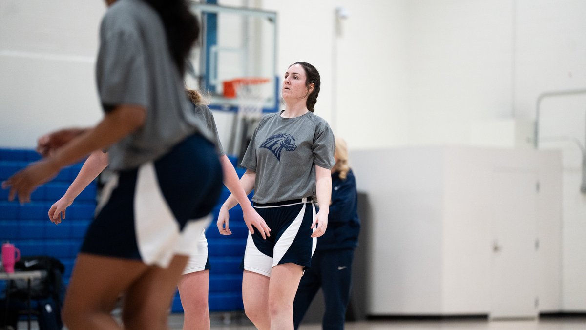 UNewHavenWBB's tweet photo. Stonehill 𝐓𝐇𝐔𝐑𝐒𝐃𝐀𝐘!

#BuckleUp | #BlueAndGold | #NECWBB https://t.co/kudbpChcHt