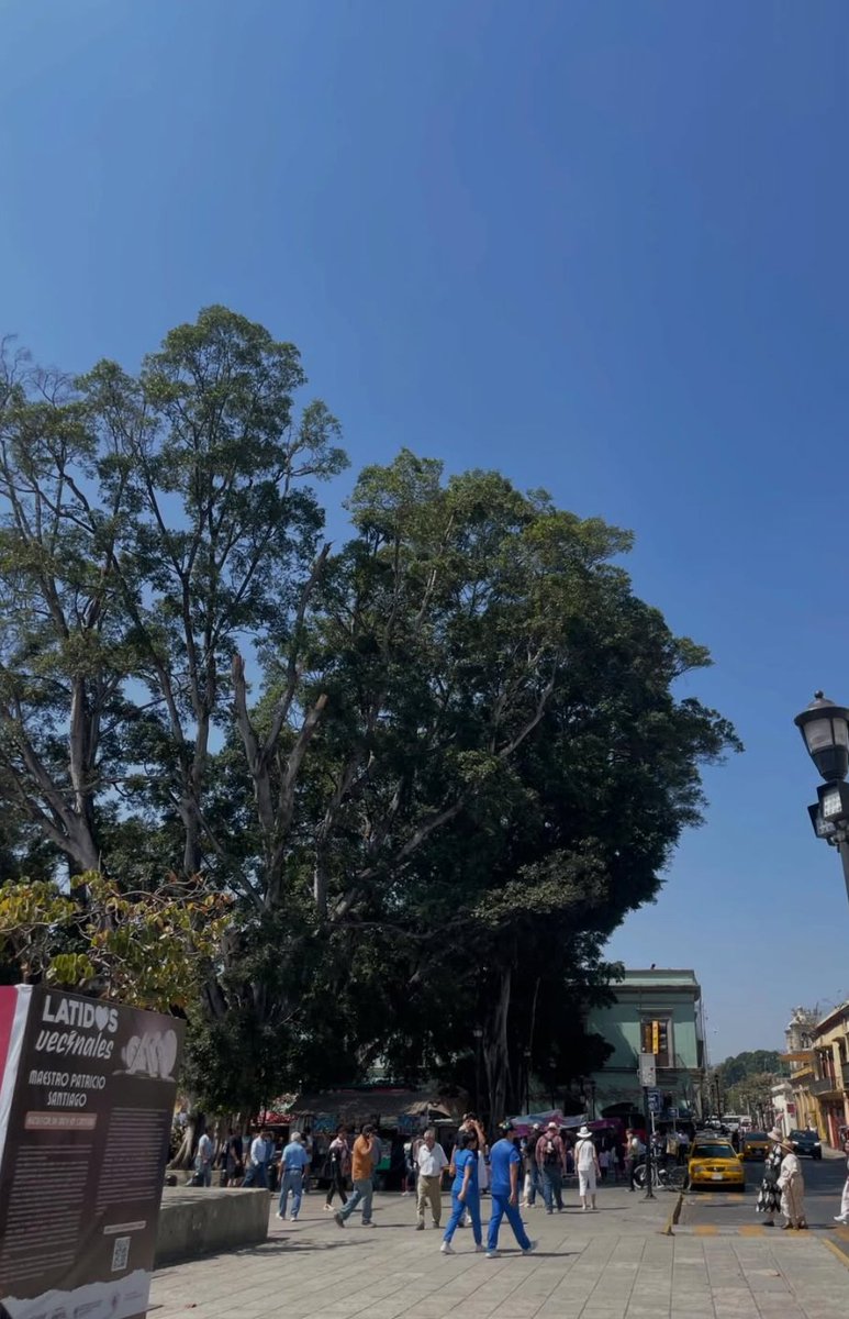 Otra vuelta express, que plan ??? #oaxaca #sw #trio