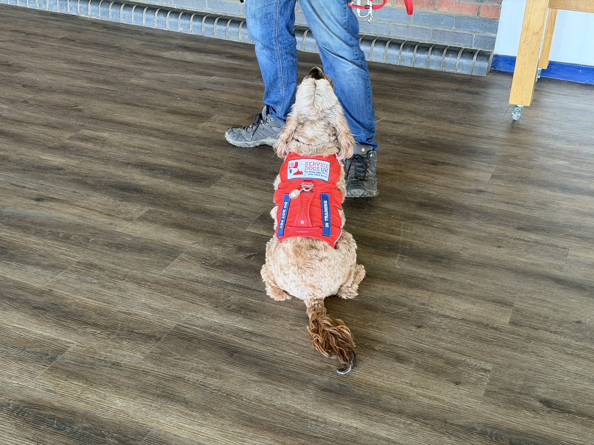 Chappers 🐾🐝 🙋‍♀️ tweet media