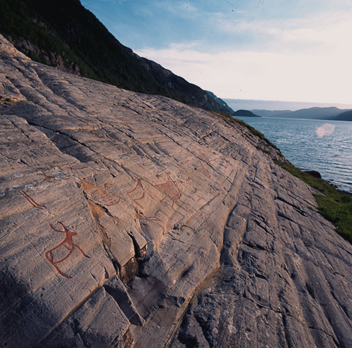bradshawfoundation.com/rockartnetwork… The slanting evening light of sunset at #Vingen in #Norway, reveals images of herds of #animals pecked into this #rockart outcrop. #Archaeology