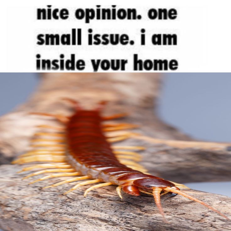 Blah blah blah blah blah 
Fuck you 💚
Blah blah blah blah blah 
Shut ur fuck