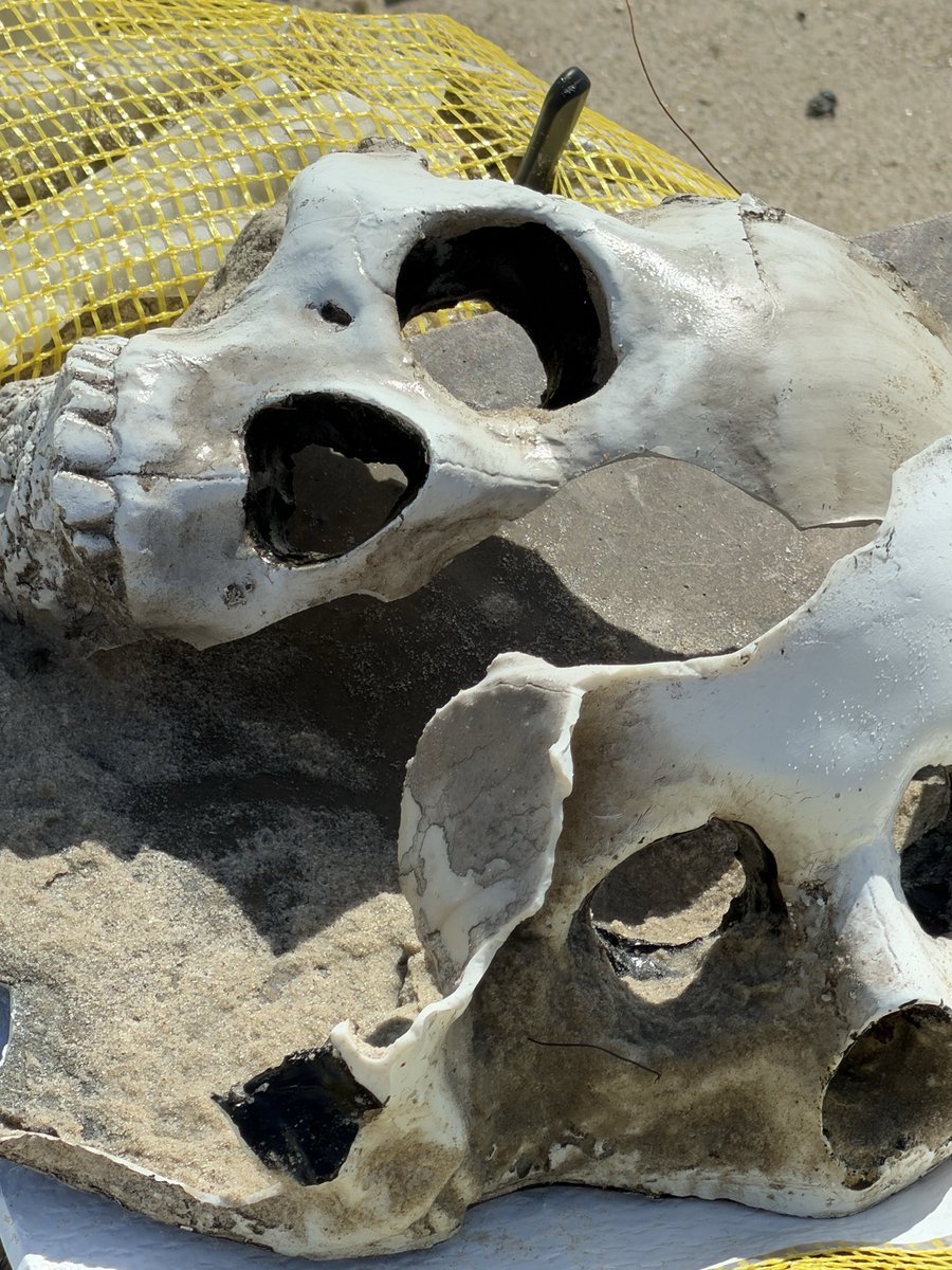 Badplastic20's tweet photo. Beach in Texas, PINS 8 miles. It was nice today. Someone left their porcelain skulls. In the dumpster now, along with 8 bags of plastic. #onemillionbags #tpwd Have a great day, don’t just talk about making a difference. https://t.co/ixlcU3mhG9
