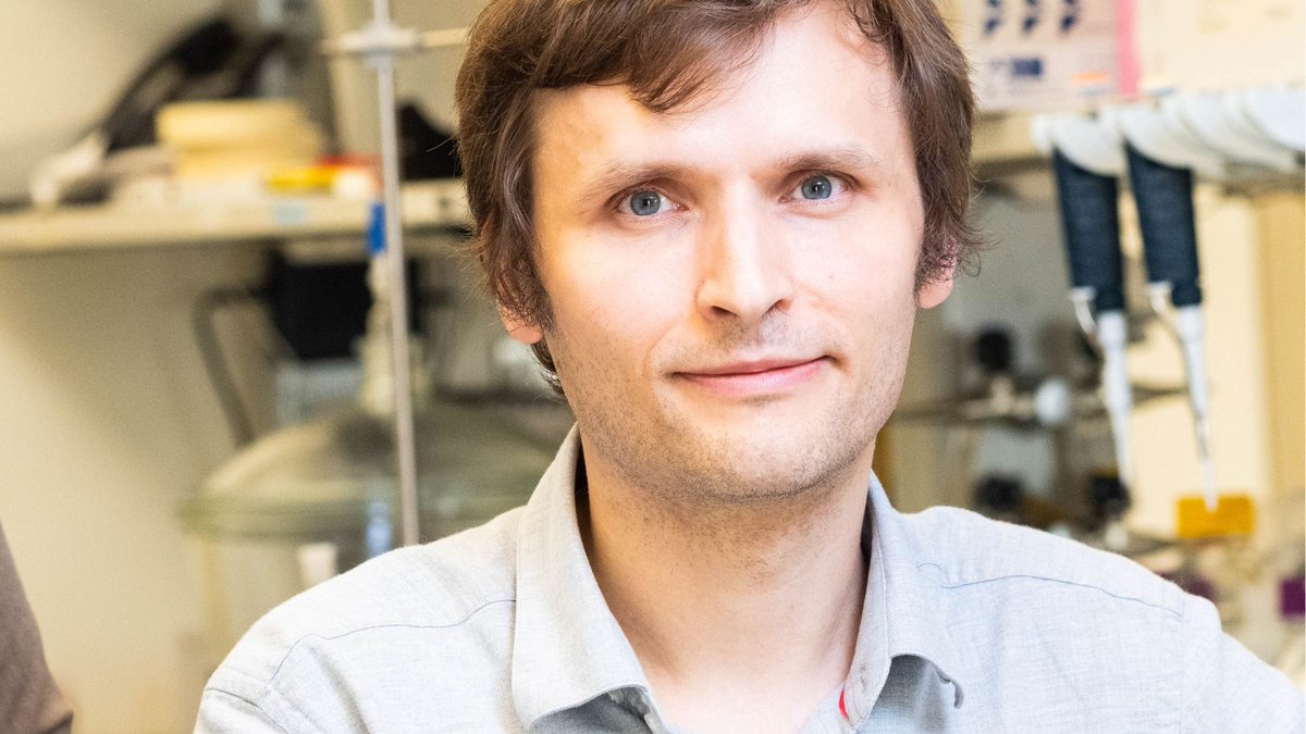 Rice University Bioengineering tweet media