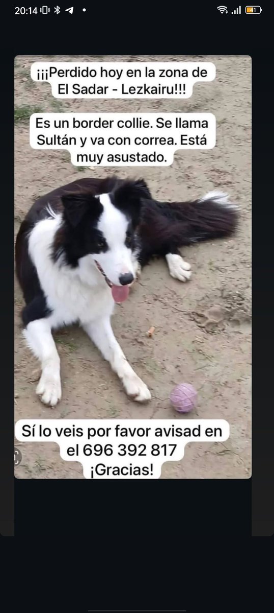 A. G. #BoyoMoho 🐐 tweet media