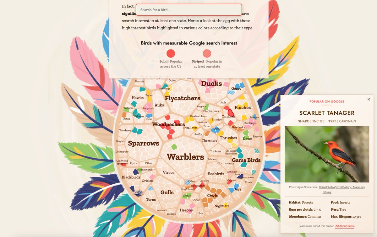 Datawrapper tweet media