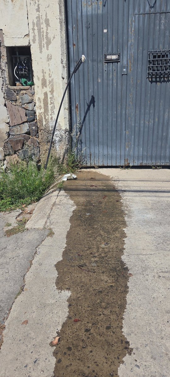 ColomosProvi tweet media