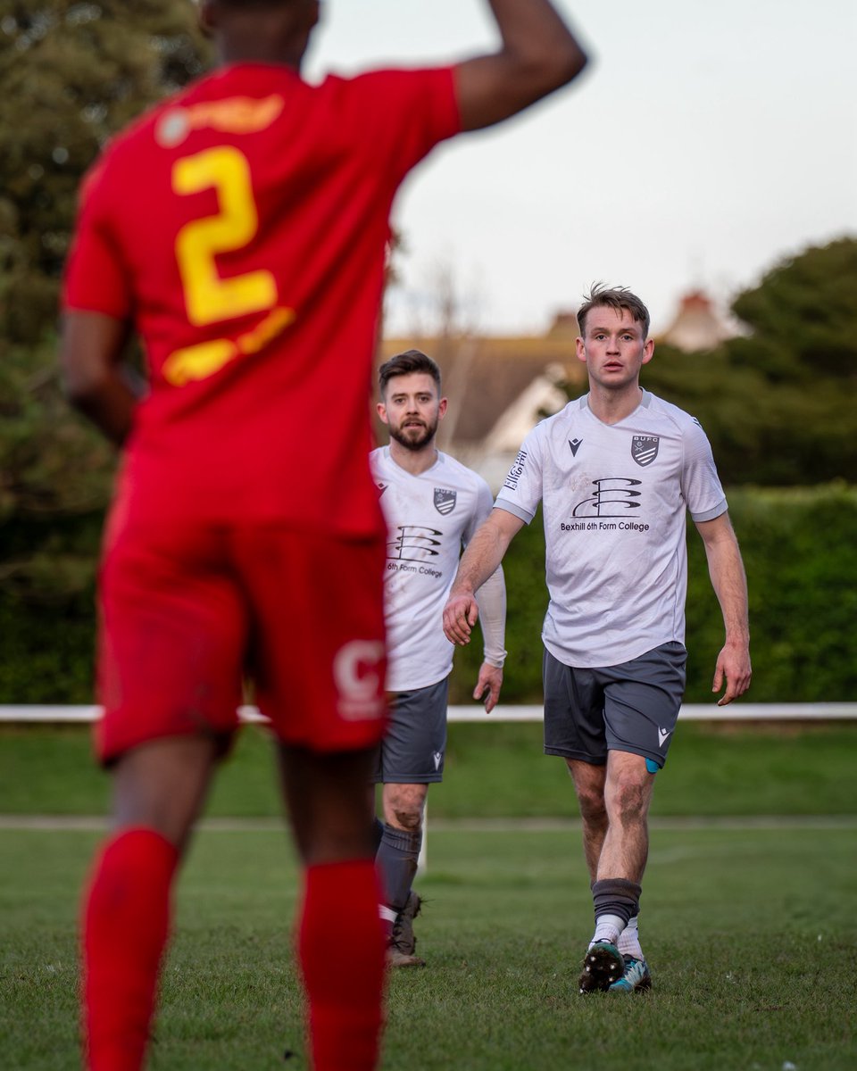 amymarshallcreative tweet media