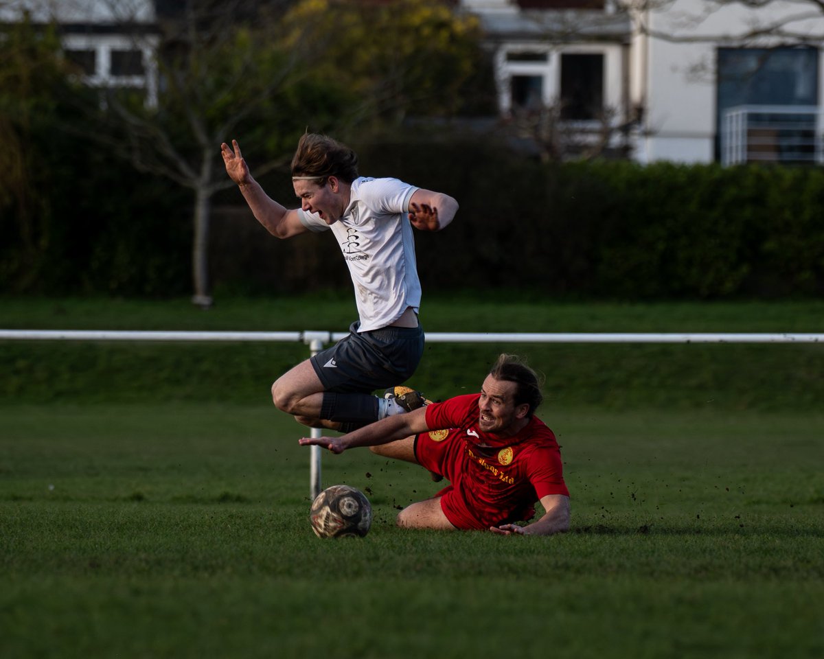 amymarshallcreative tweet media