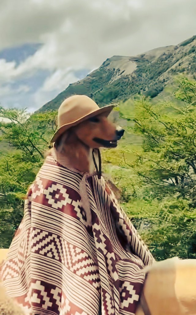 Genti 𝕏 👽 tweet media