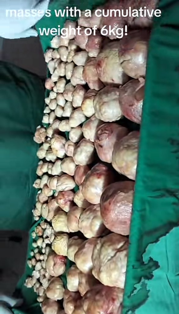 Queen Ella☢️✂️❤️ tweet media