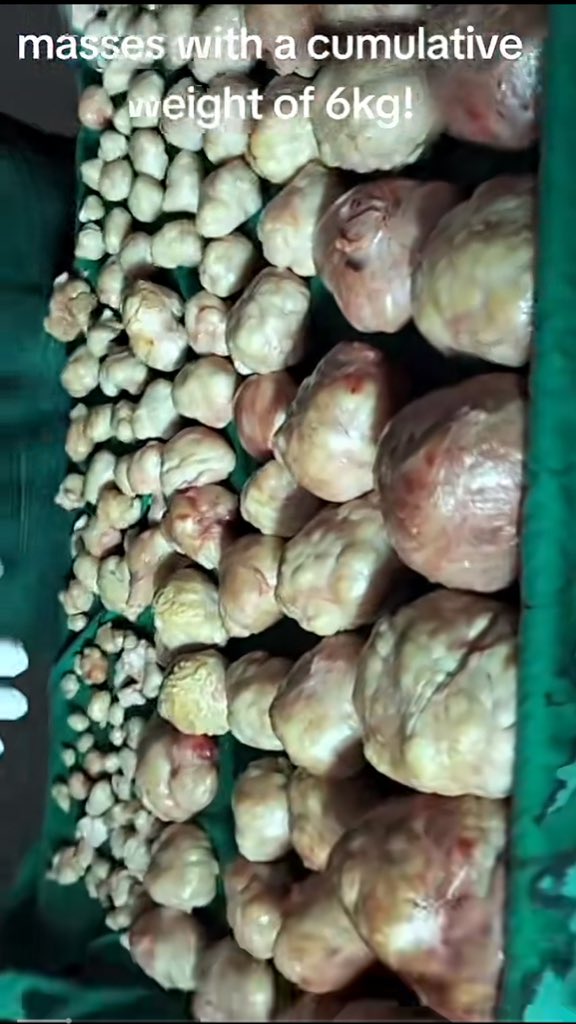 Queen Ella☢️✂️❤️ tweet media