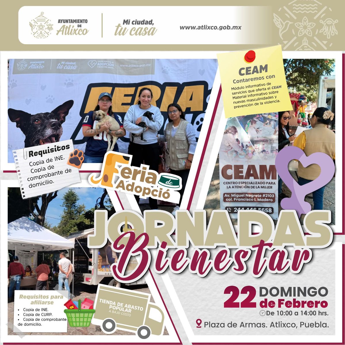 Este 22 de febrero será la Jornada de Bienestar en la Plaza de Armas (10:00 AM - 2:00 PM)
-Compra en la Tienda de Abasto Popular
-Consulta en orientación legal o psicológica en el módulo del CEAM
-Conoce a los perritos en adopción