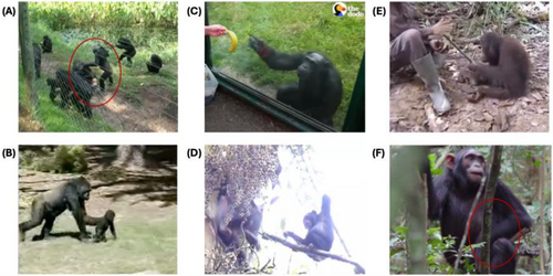 A.Benítez-Burraco tweet media