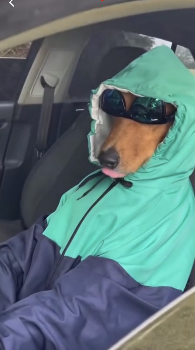 Genti 𝕏 👽 tweet media