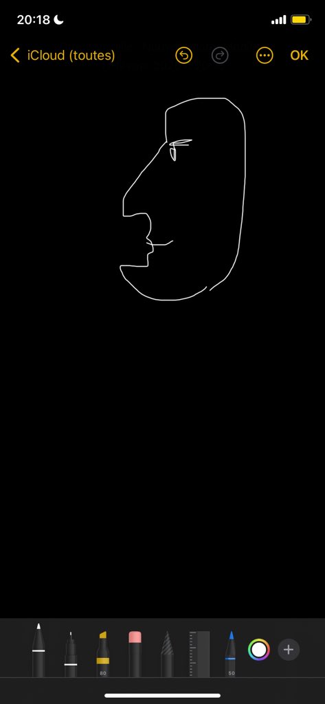 Je viens de voir une meuf dans le métro elle ressemblait à ça j’étais fascinée