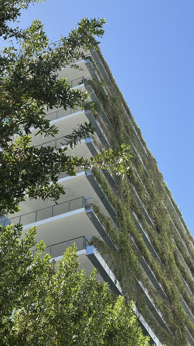 (✿◠‿◠) tweet media