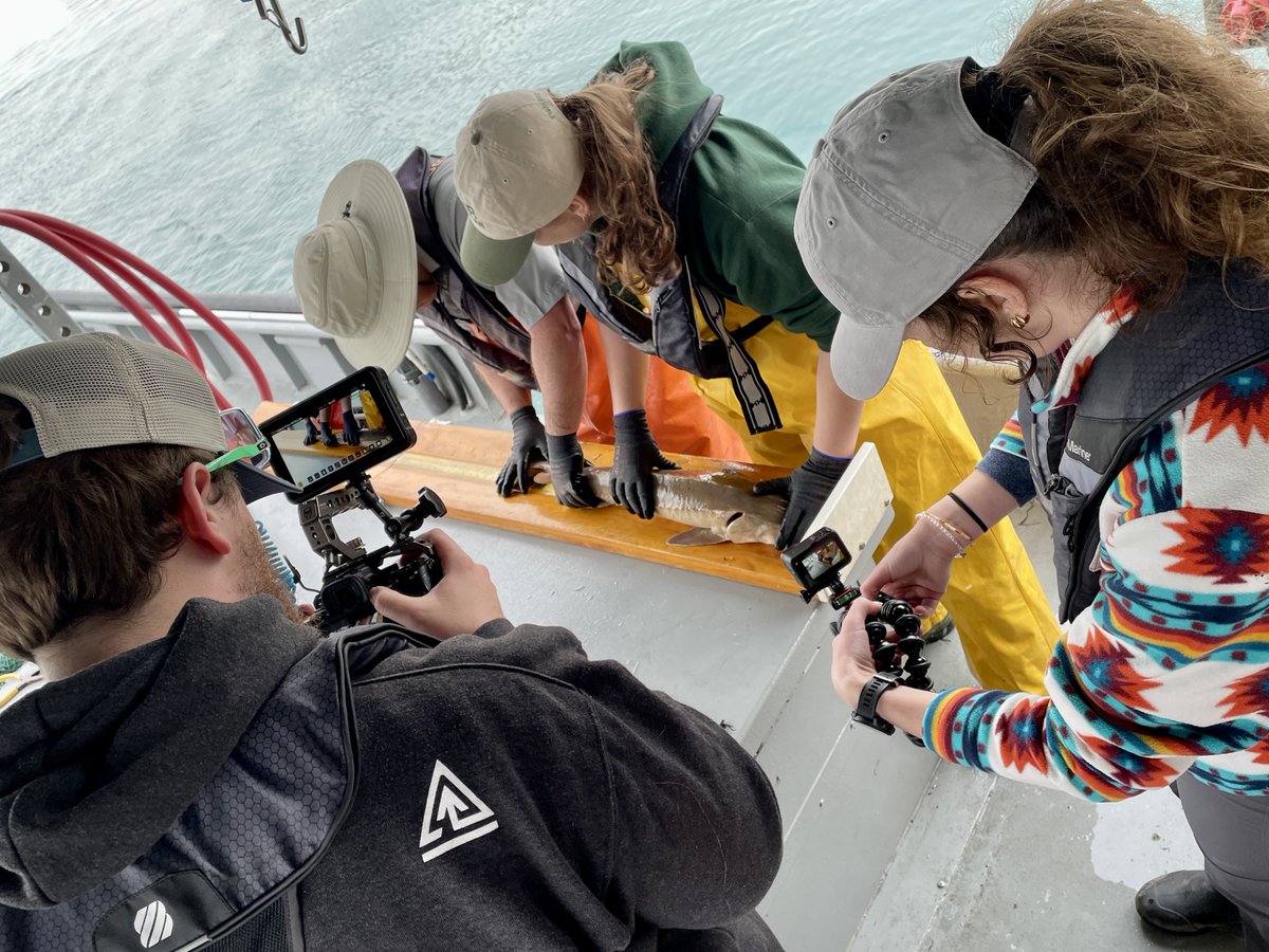 Andrew Briggs tweet media