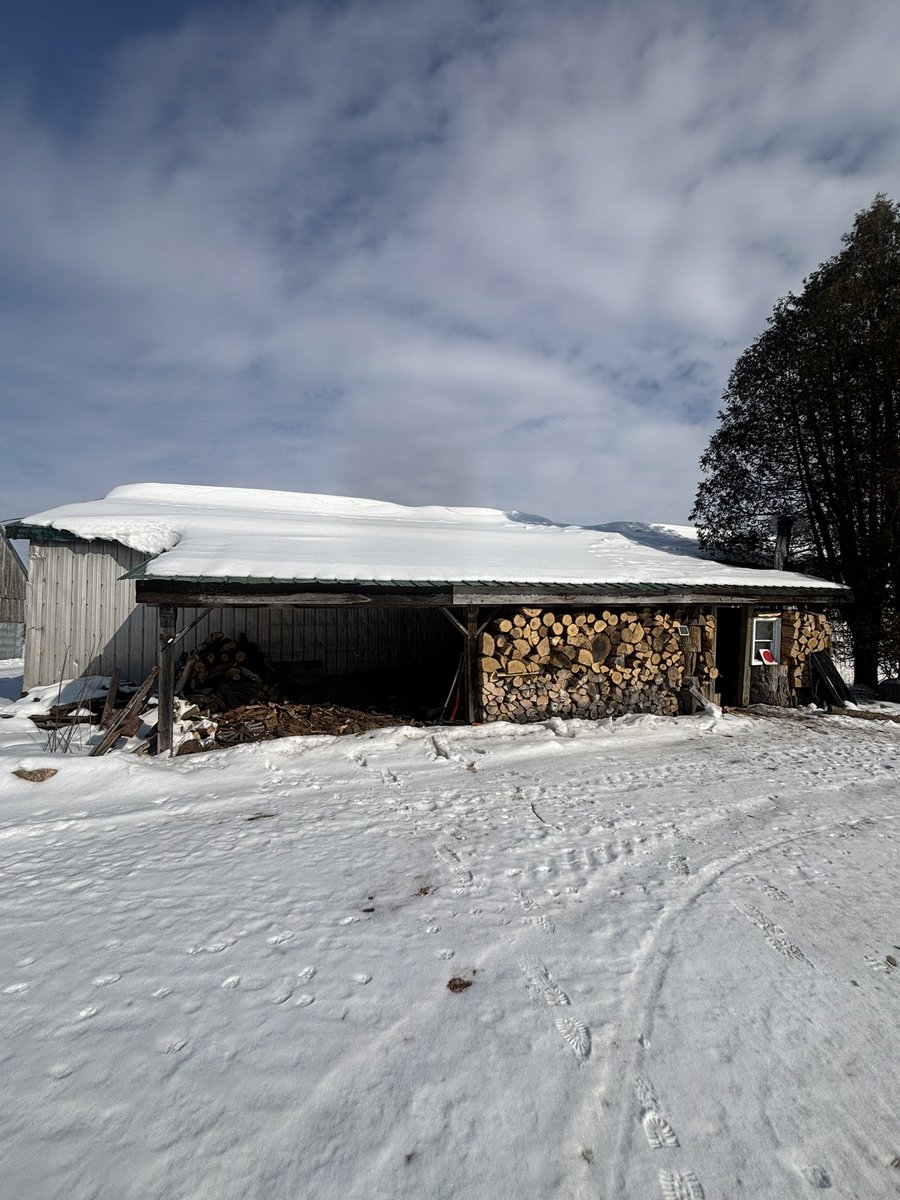 Dean Patterson v1.0.0🇨🇦 tweet media