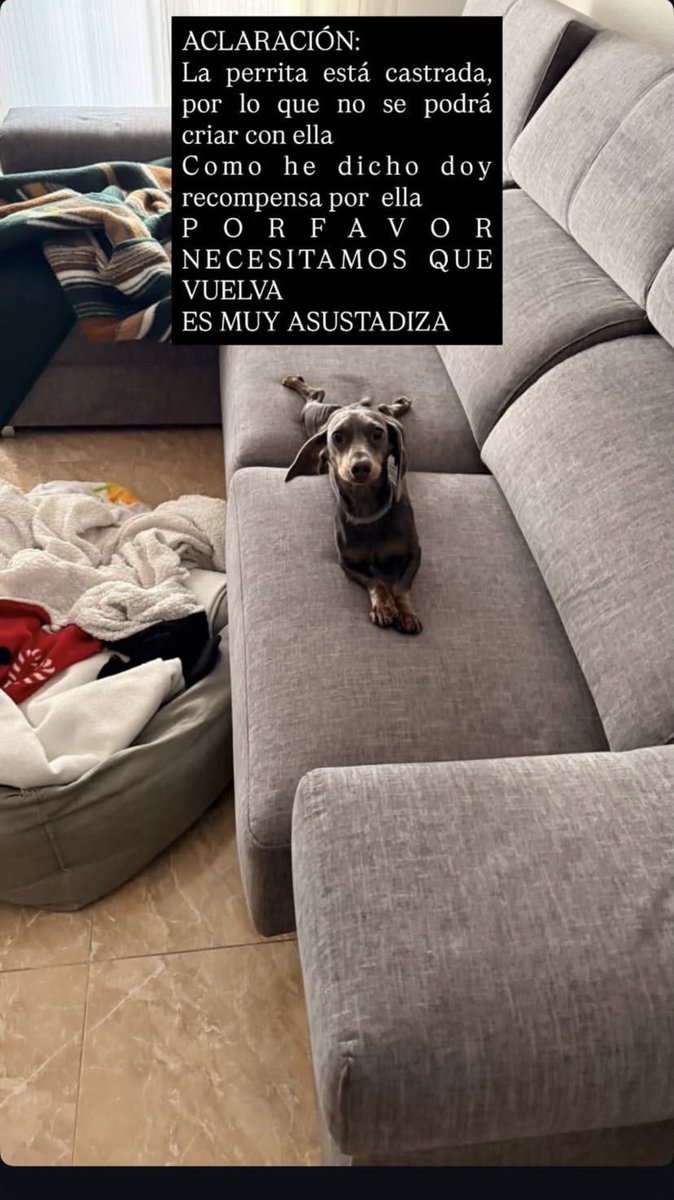 Porfa por la zona de Toledo (Fuensalida y camarena)
Si lo difundís un poco me hacéis un favor