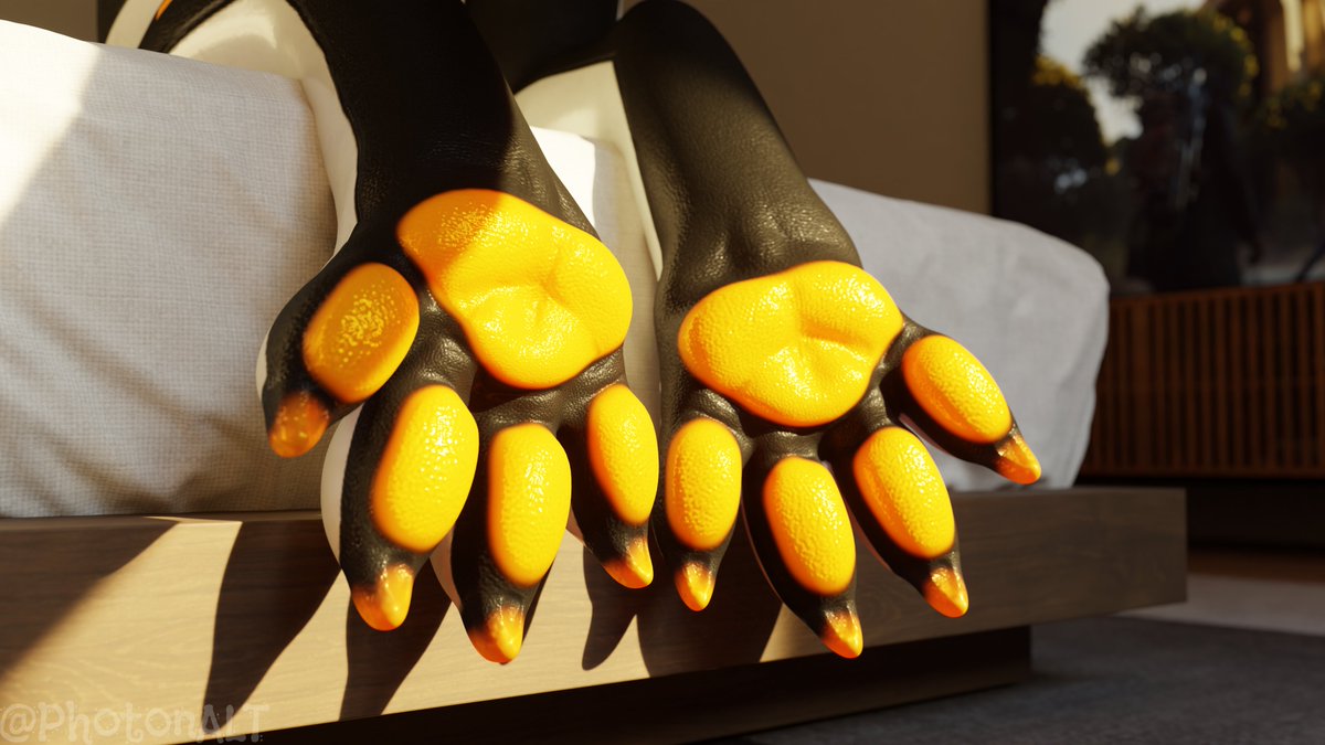 Photon Accord tweet media