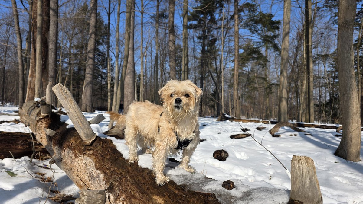 It's a beautiful day.