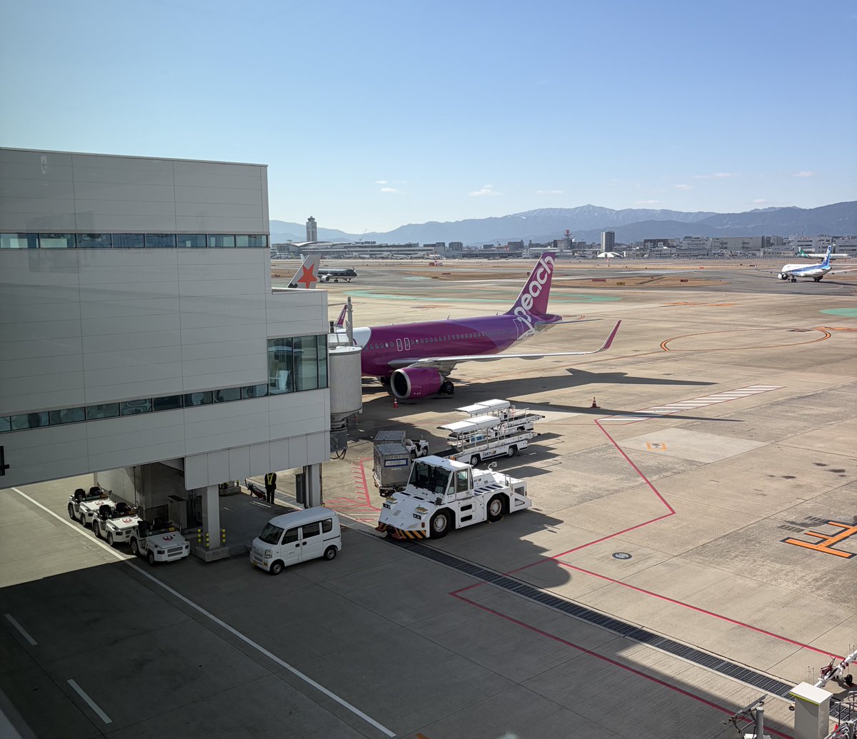 犬丸。 tweet media