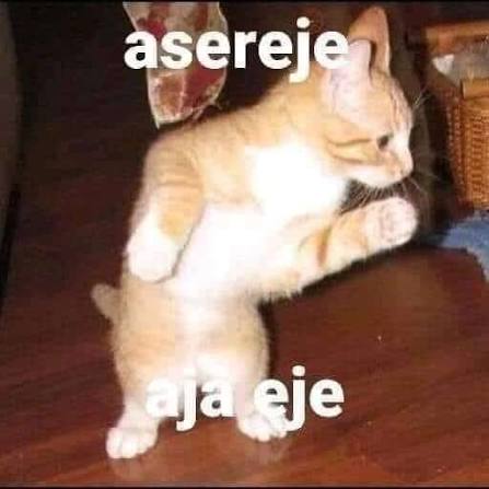 Aᵧ | Julious tweet media