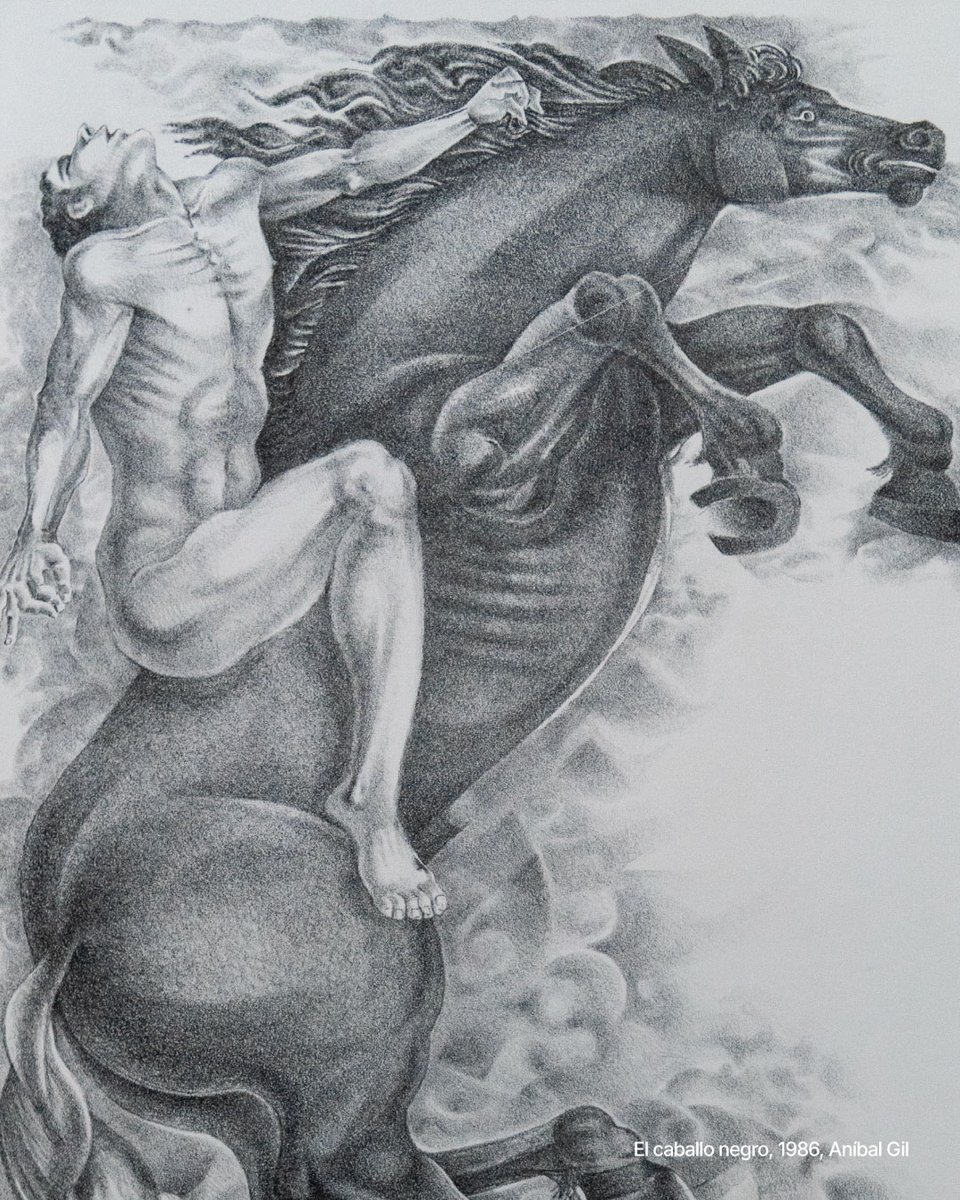 Museo de Antioquia tweet media