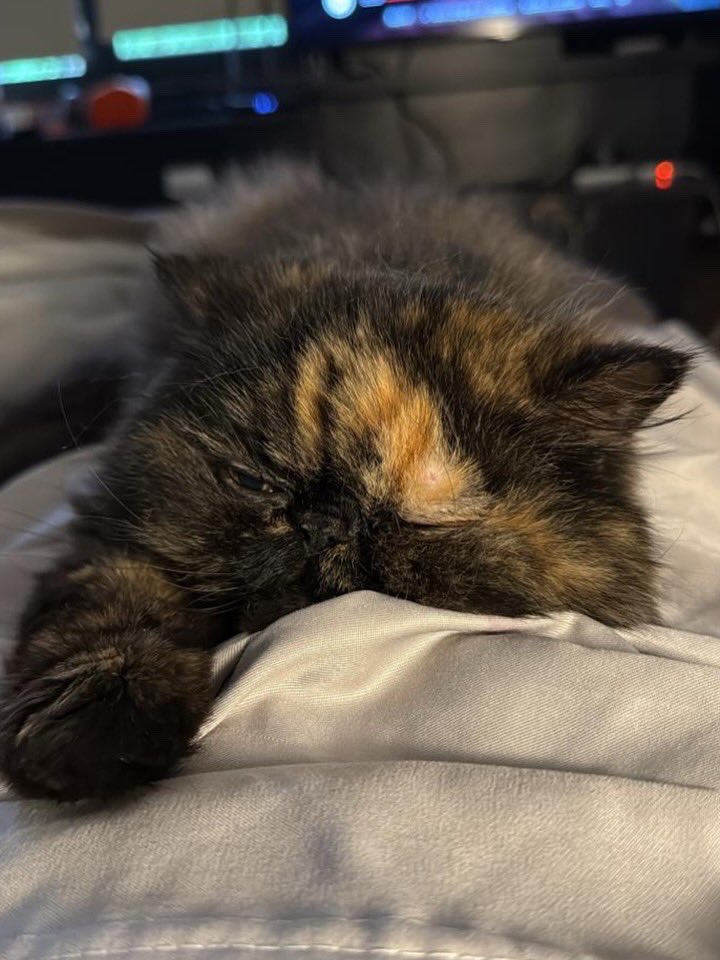 maRIO rioRDA tweet media