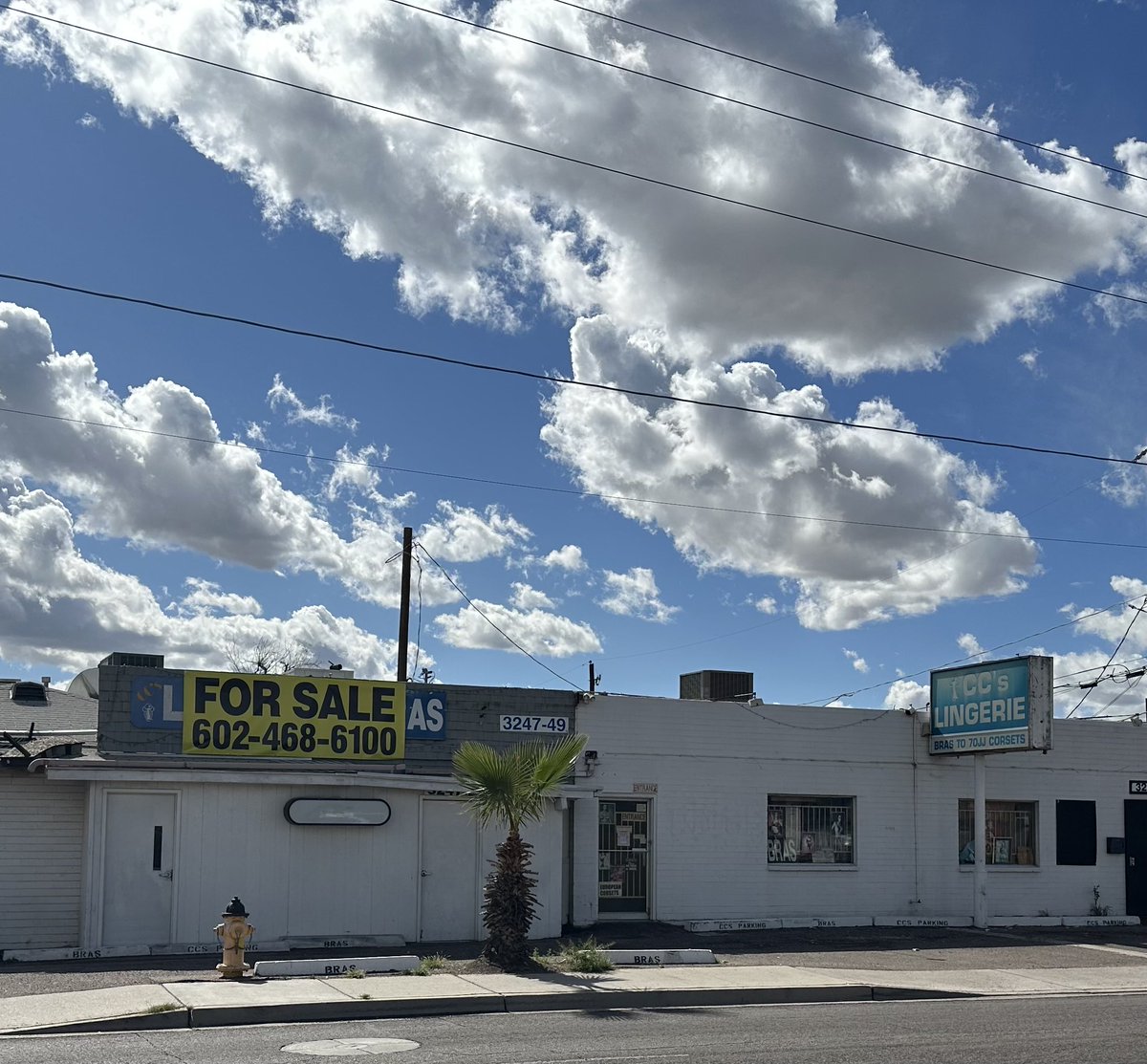 Clue Heywood tweet media