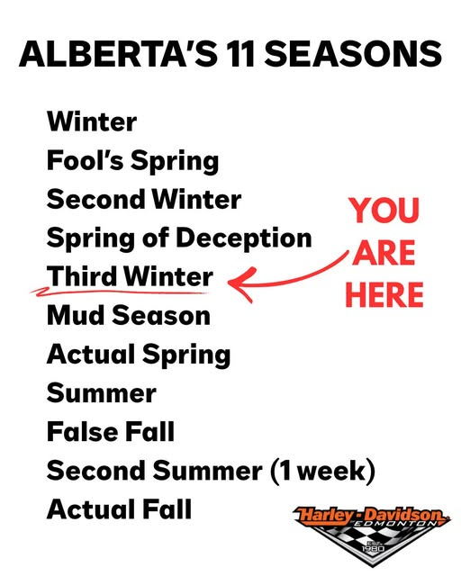 Lori Bauer🇨🇦🏒🥅🔥 tweet media