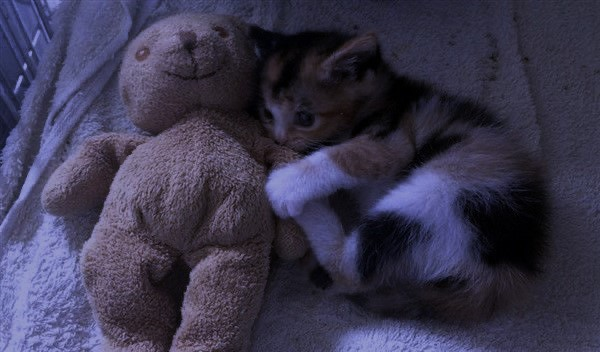 ✞ 🗝️ (@hakaelll) on Twitter photo 