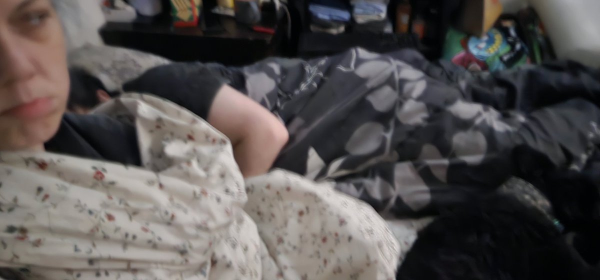 ClassyKatie tweet media