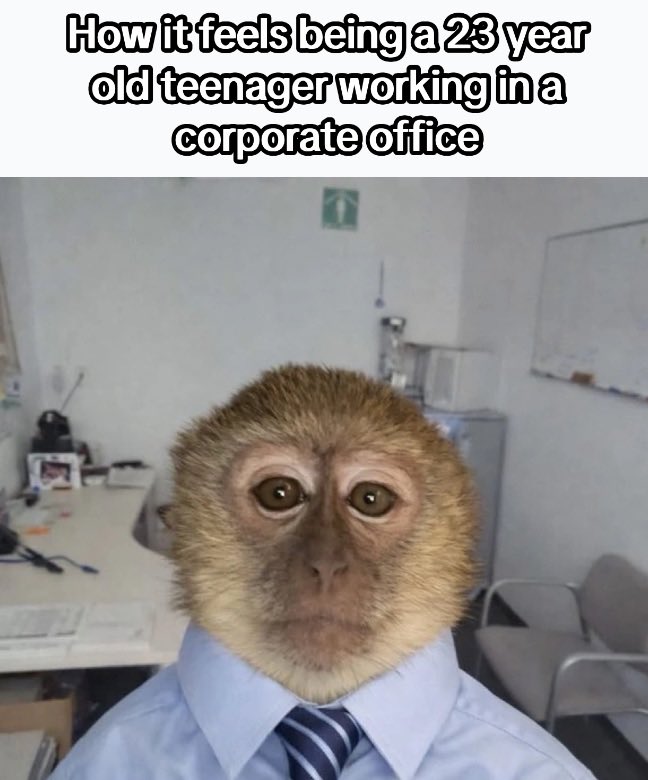 Workplace Memelords (@cmemelords) on Twitter photo 