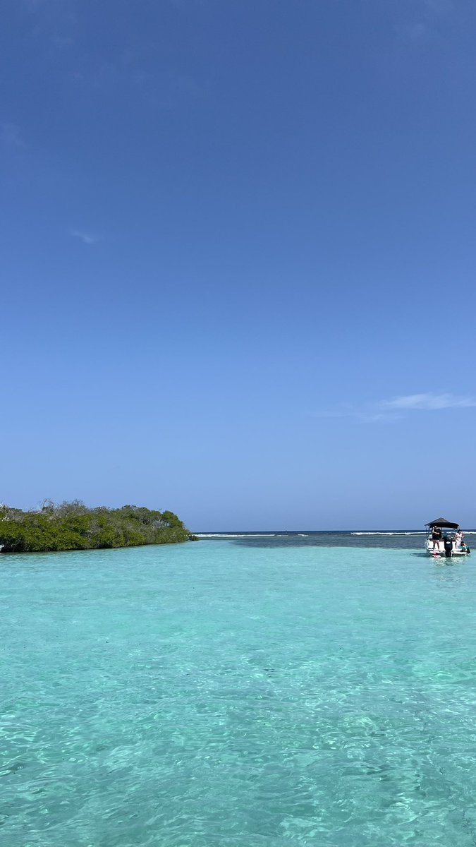 Alejandra Iriza tweet media