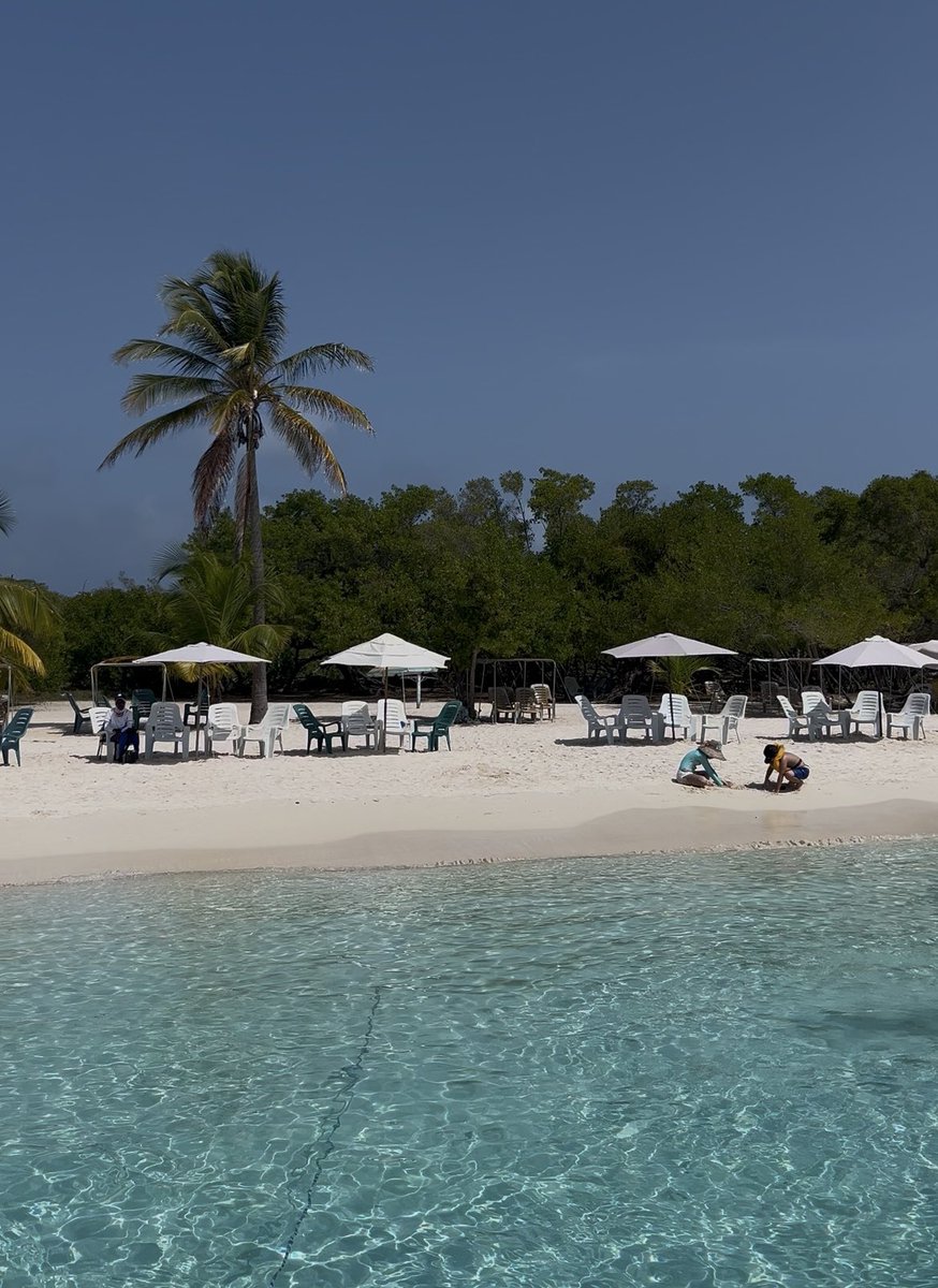 Alejandra Iriza tweet media