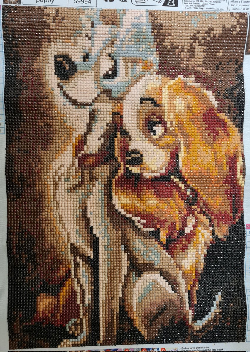 _missghostie's tweet photo. #disney #ladyandthetramp #diamondart #disneyart https://t.co/A2ZZGKzW9C
