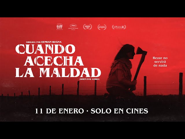 Shadowlink64 tweet media