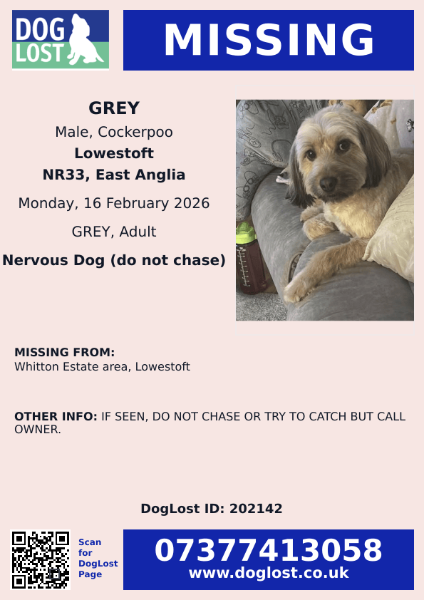 millypod1's tweet photo. 🆘16 FEB 2026 #Lost GREY #ScanMe
Cockerpoo Male Nervous Dog (do not chase)
Whitton Estate area #Lowestoft #Suffolk #NR33
https://t.co/DnhsEP0VRW https://t.co/lxqSerD4BN
