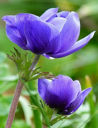 Diana🍁 🇳🇴 tweet media