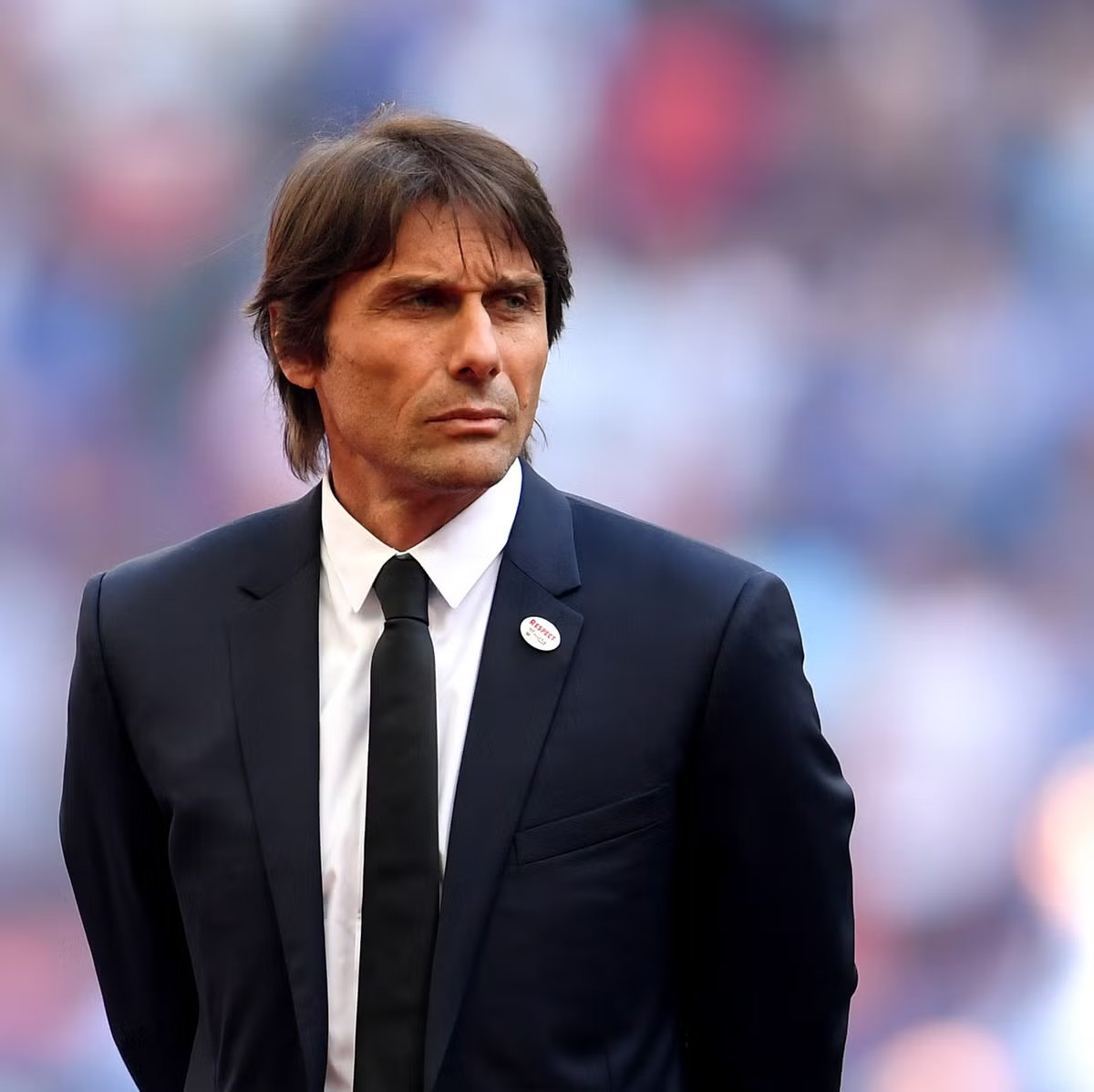 DomConte tweet media